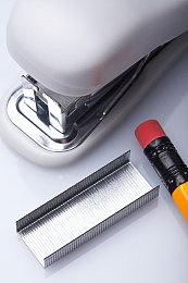 《恐龙小当家》全新demo今日上线 多项玩法优化更新！